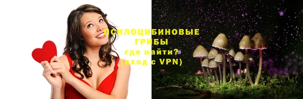 a pvp Михайловск