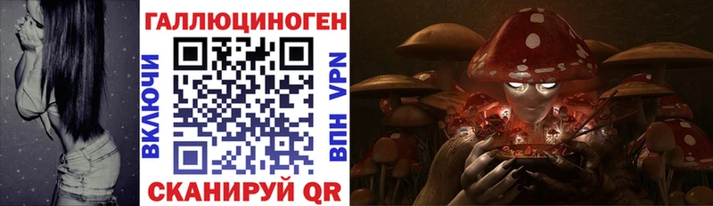Галлюциногенные грибы Cubensis  Купить закладки  Берёзовский 